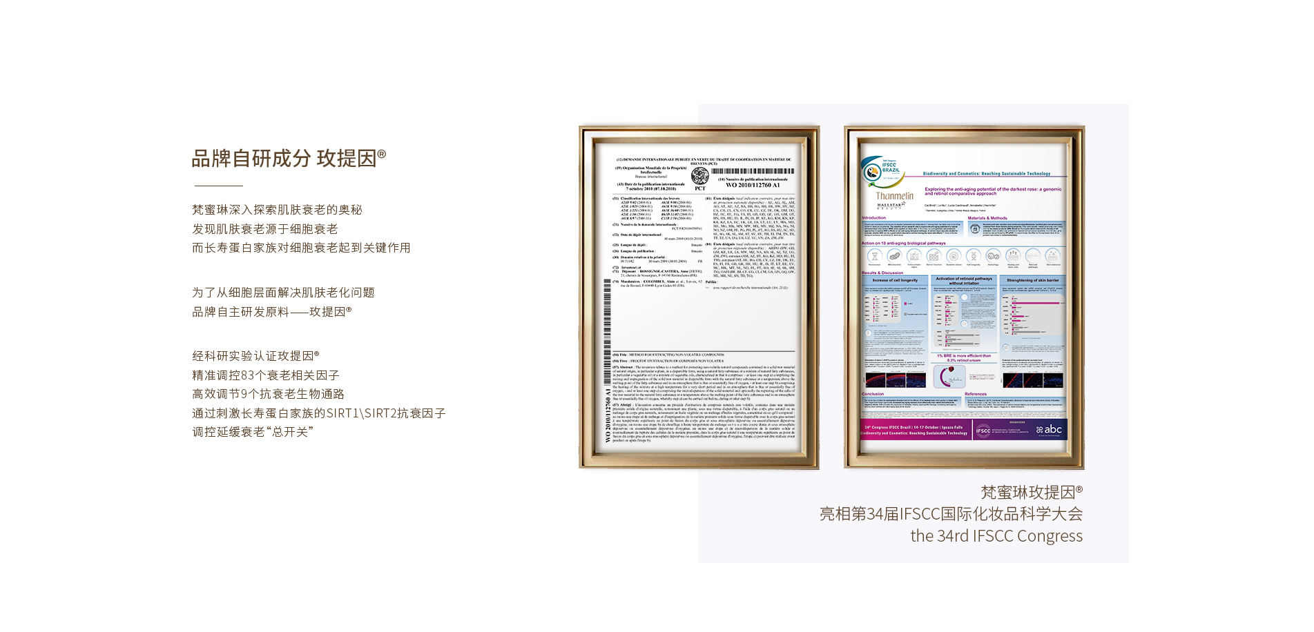 1903-品牌成分